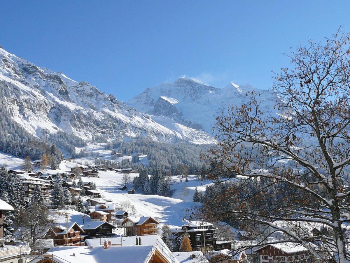 Apartment Primula Wengen Bagian luar foto
